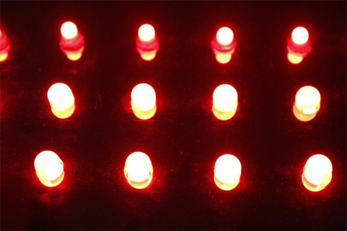 SMD5050 LED Pixel Light IP67 DC12V  0.3W Single Color Waterproof Miracle Bean 1