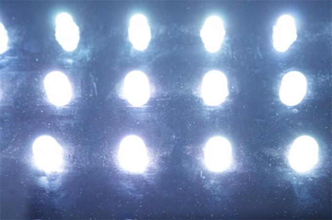 SMD5050 LED Pixel Light IP67 DC12V  0.3W Single Color Waterproof Miracle Bean 2