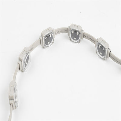 DC12V Outdoor RGB LED Point Light 25mm Smd3535 IP67 DMX512 Waterproof 0.75W