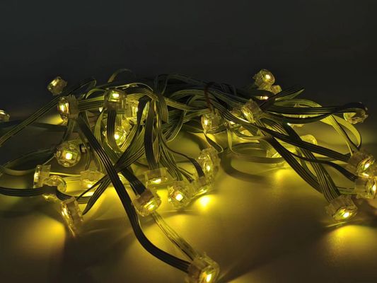 EAVES LIGHT IP65 RGB permanent outdoor light with Plug-in power supply for outdoor indoor decorative lights