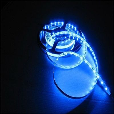 SMD 2835 Multi-color 12v LED Strip Brightness CCT Dimmable Lights Indoor Home Lighting Strip Light