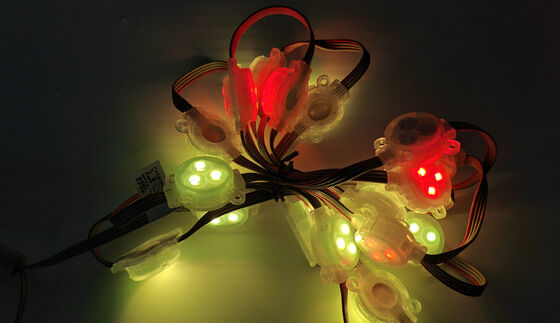 24V Low Voltage 30mm RGB LED Pixel Light IP67 Waterproof for Outdoor Playground Decoration