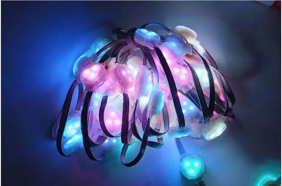 2904 RGBW Led Point Light IP67 Outdoor Waterproof 1903 RGB LED Light String