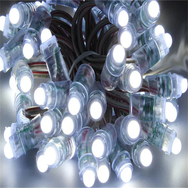 WS2811 RGB Pixel LED String Lights 5V 12V Programmable 12mm Smart Full ...