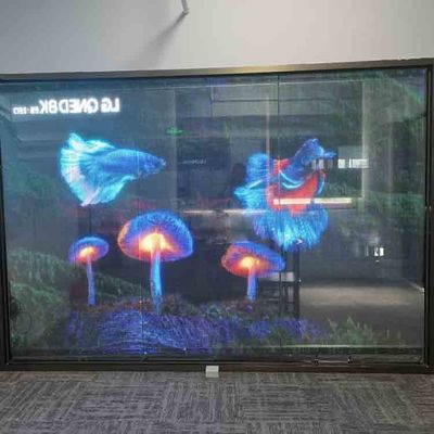 Transparent Film For Windows Led Film For Glass Self-Adhesive Transparent Led Screen Film