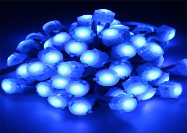 IP67 0.25W Blue DC12V 5050 20mm LED Pixel Light With 120 Beam Angle