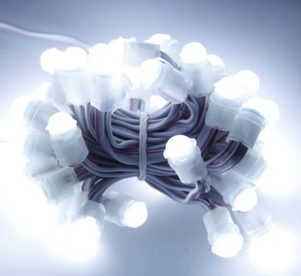 White Led Light Outdoor Waterproof 50 Leds DC 12V 9mm Led Pixel String Light