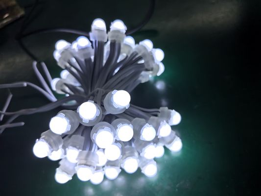 Outdoor Design SMD LED Pixel Light with 12V Power Supply and IP67 Waterproof