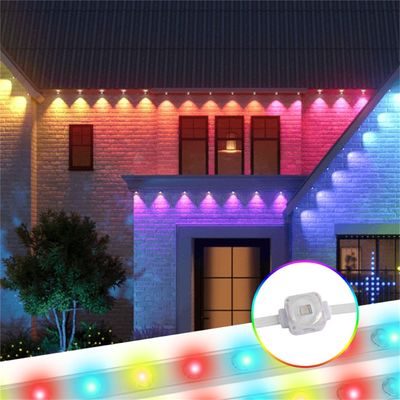 Landscape Point Pixel Led Light Rgb Outdoor Holiday Decoration 12v Dot Led Permanent Christmas Light