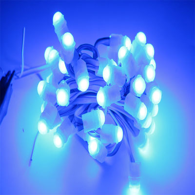 Single Color LED Pixel Light DC12V 9MM 0.2W Advertising Signage Board light LED manufactur