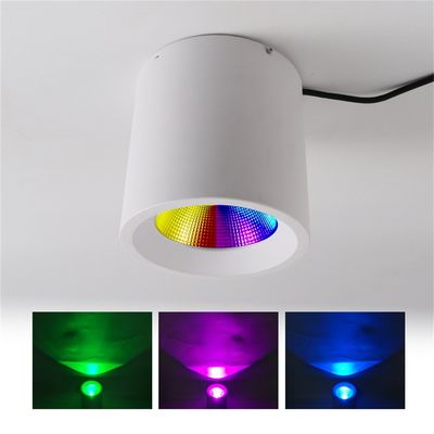 Recessed Adjustable LED Downlights Smart APP Voice Control 20W RGBW SPI USC2904