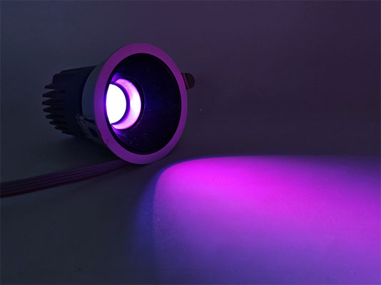 Adjustable Indoor Spotlight 20W Circular Color Lighting with Frequency 50-60Hz