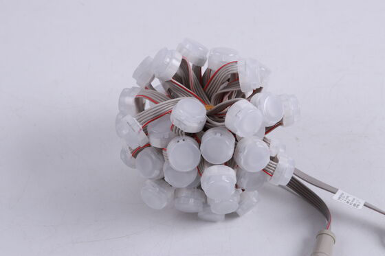 Waterproof LED Point Light 20mm DC12V IP67  Outdoor Garden Building Decor Light