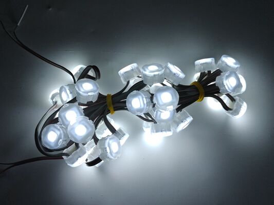 22.83mm 12V IP67 Waterproof LED Point Light with 120 Degree Beam Angle Made of PC Material