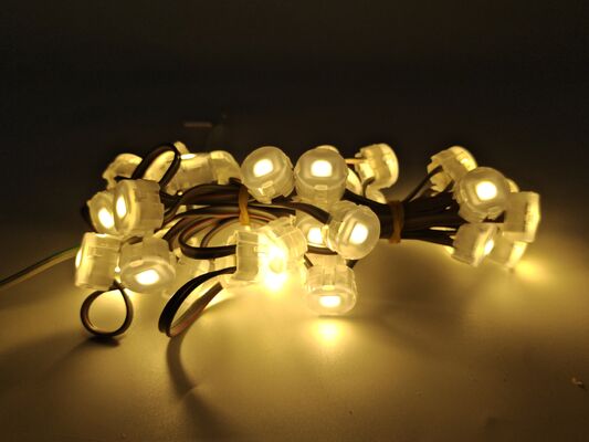 Outdoor Waterproof IP67 Colorful 20mm House Monochrome External Control RGB Full Color Led Point Light Source