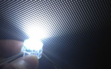 Imported PC Shell Brightness DC12V SMD 5050 LED Pixel Light CE ROHS
