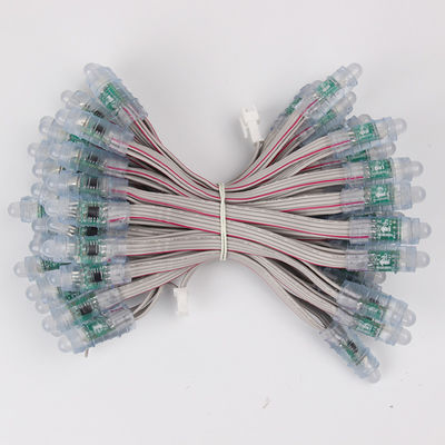 Miracle Bean 12mm Rgb BIS Certificate WS2811 1903 Led Pixel Light RGB Waterproof Led String 5V 12 V 50pcs