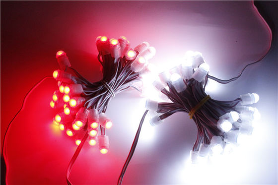SMD2025 12V IP67 Waterproof Pixel LED Light 0.15W 9mm